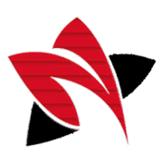New Star Roll Up Doors logo