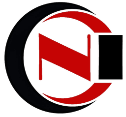 Nice Assignment Help logo