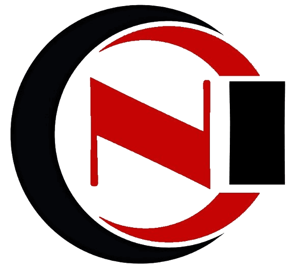 Nice Assignment Help logo