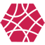 Polymathic Technologies logo
