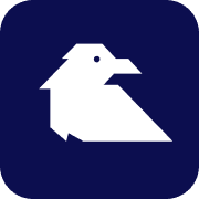 Raven Risk logo