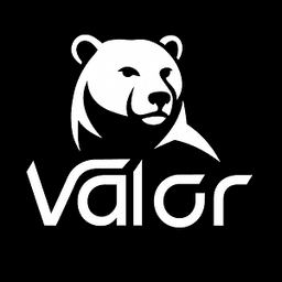 Valor Vision logo