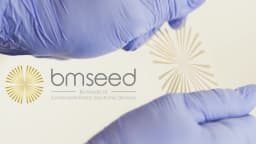 BMSEED LLC logo