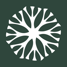 Rhyzo Mycology logo