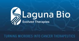 Laguna logo