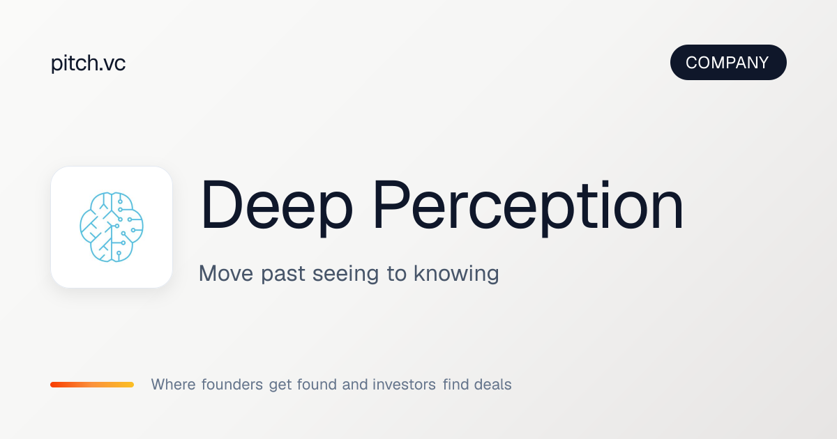 Deep Perception — Pitch